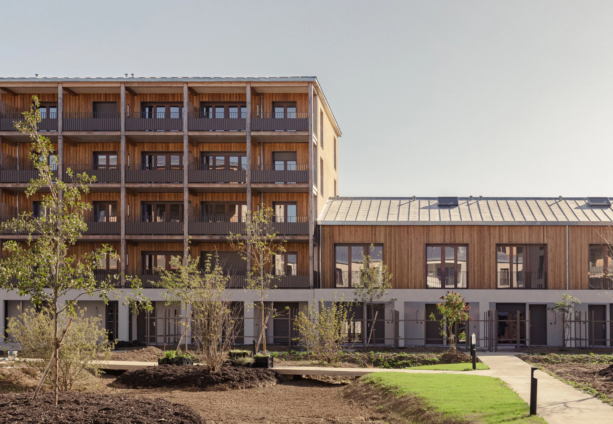 西科莫尔，比西圣乔治 · 宫殿（注：SYCOMORE或为专有名字等，如果有特定背景准确信息可能更合适的译法；Palast可能拼写有误，正常德语宫殿是Palast ，英文宫殿是Palace ） 丨palast,Résonnance,ALTO ingénierie等-30