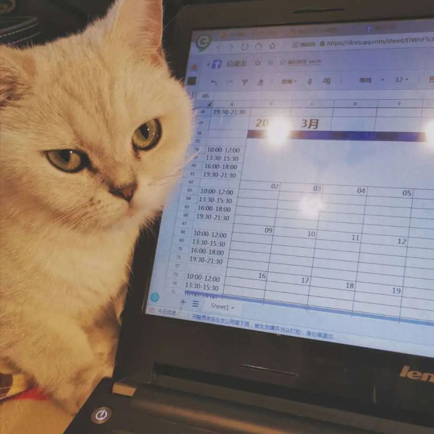 疫情下的设计团队 | 工作方式转变与感悟-31