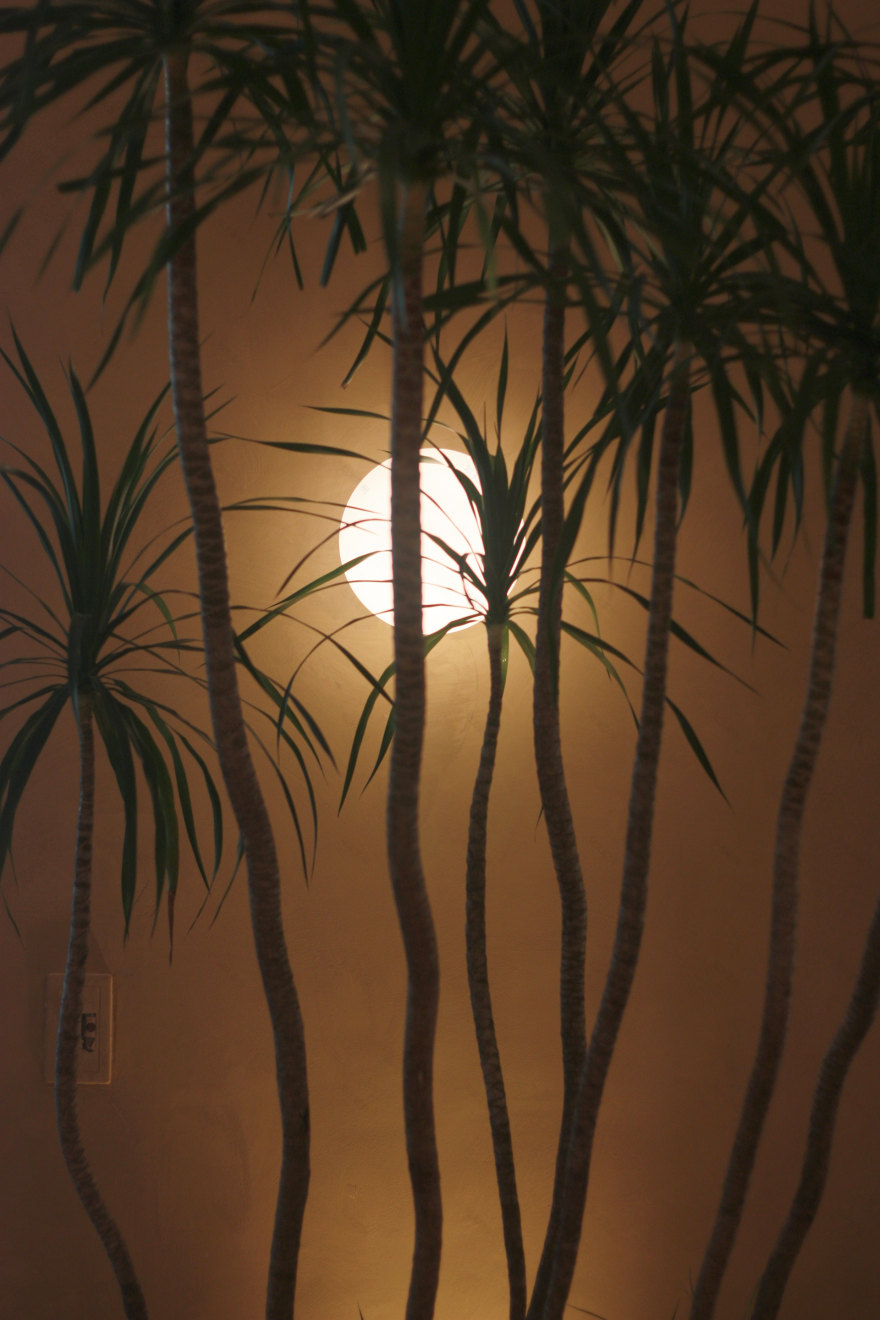 梅须里前海万象店丨中国深圳丨MIST-23