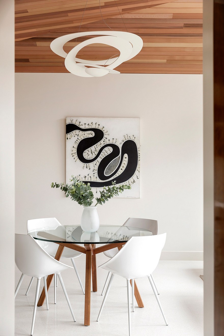 Spider House: Renovation to a Mid Century Solid Brick Suburban House-12