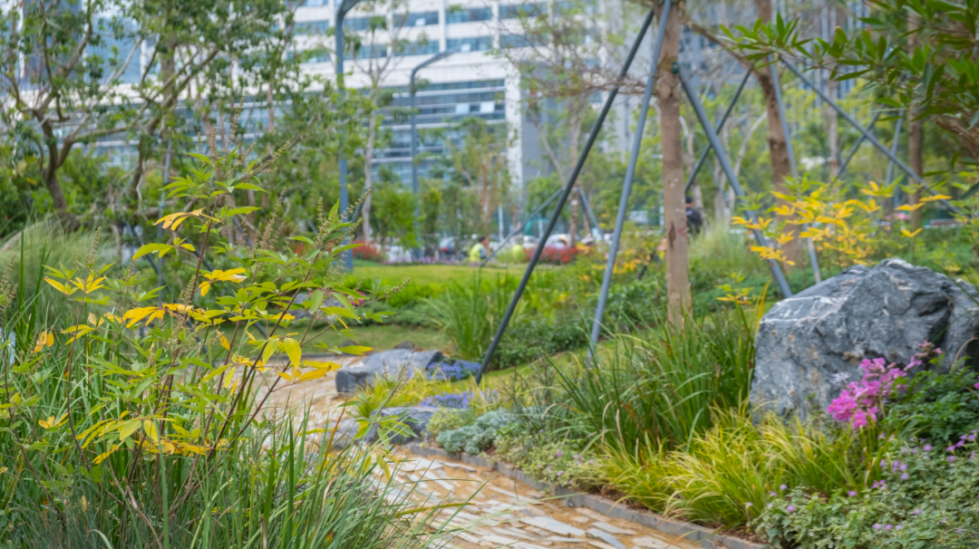 智见 · 云上 | 云之园 CLOUD PARK-187