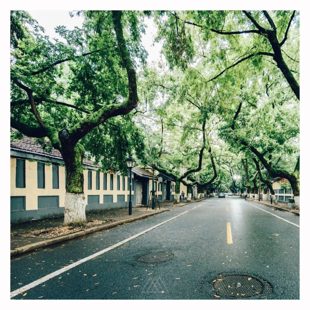 南京老城区建筑风情录 | 穿越时空的民国韵味-132