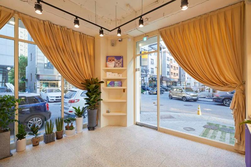 七坪小店营造独特氛围，品味缤纷色彩空间-3