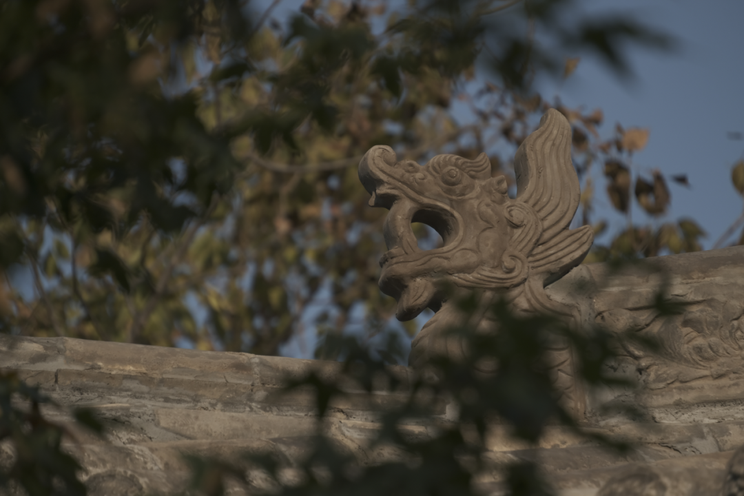 礼序东方 盛京游园 | 沈阳万科·胤樾-116