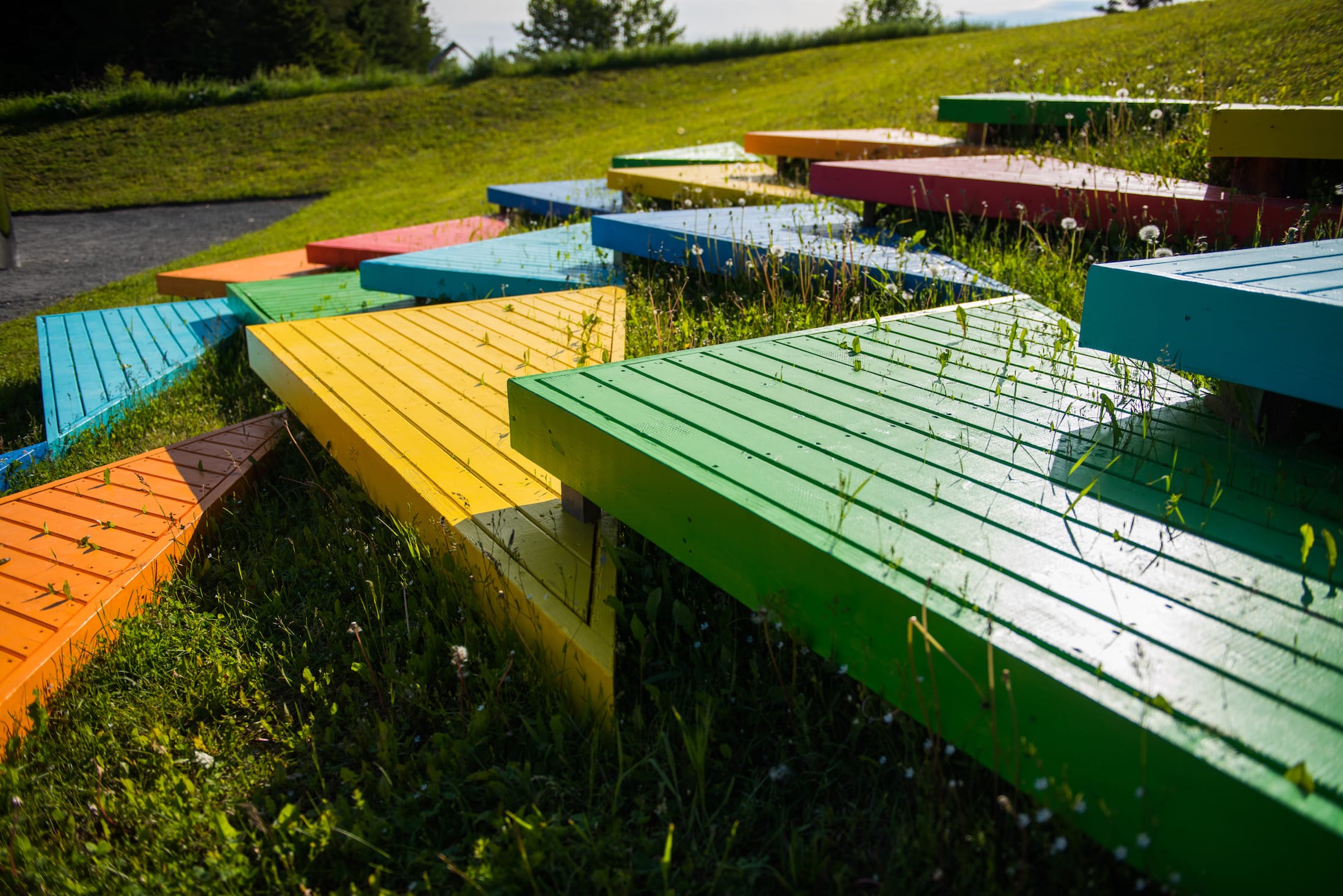 2019加拿大国际花园节(第二部分),Reford Gardens-57