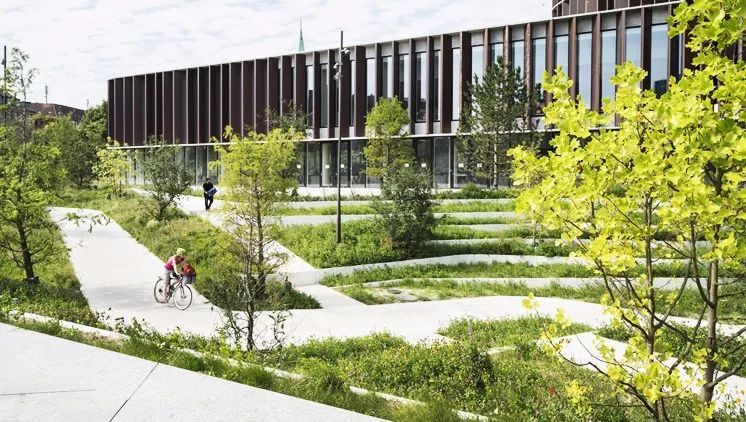 泰国Ramathibodi Healing Garden-55