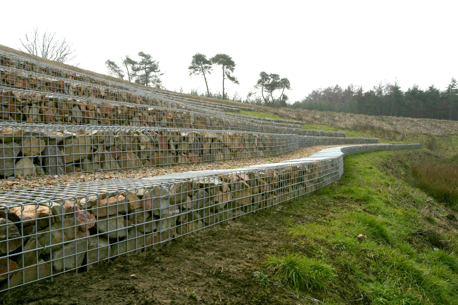 博克尔德野生动物穿越区丨ZJA I Architects & Engineers-20