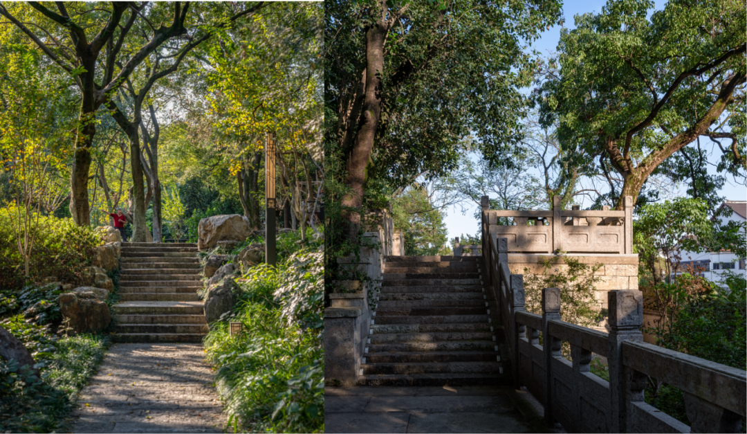 山色焕颜丨塔山公园景观亮化提升项目-36