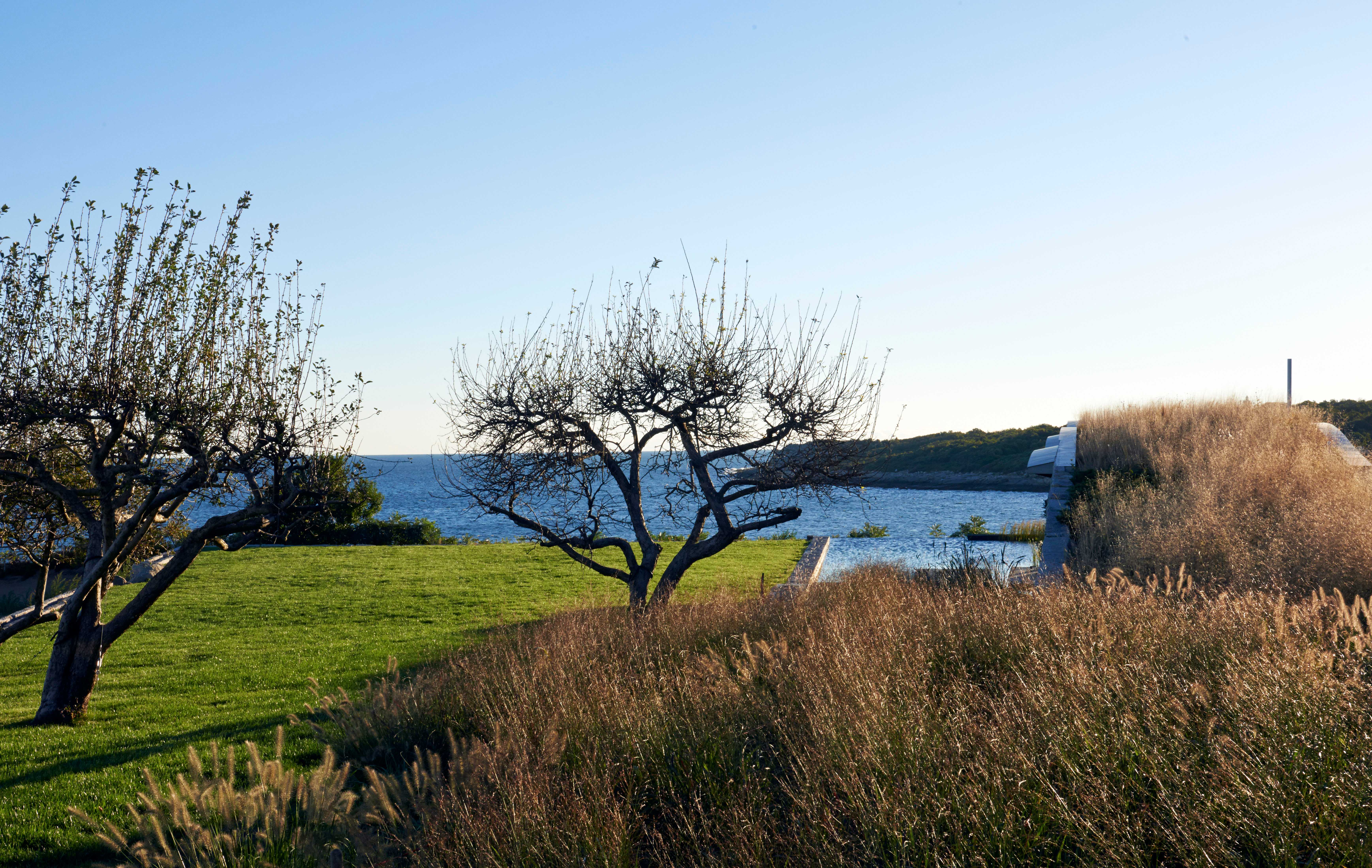 悬崖之上的绿色泳池住宅-13