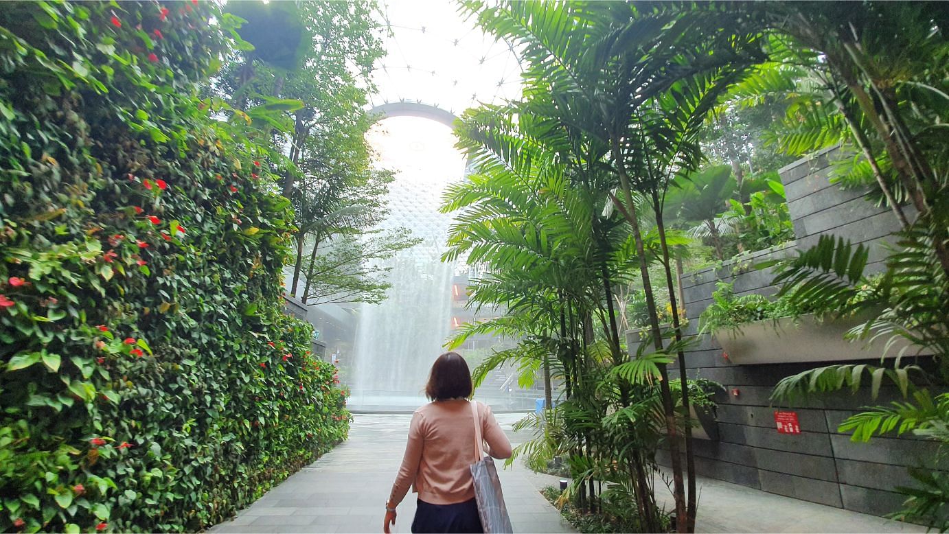 Jewel Changi Airport（新加坡樟宜机场宝石项目）丨Moshe Safdie-24