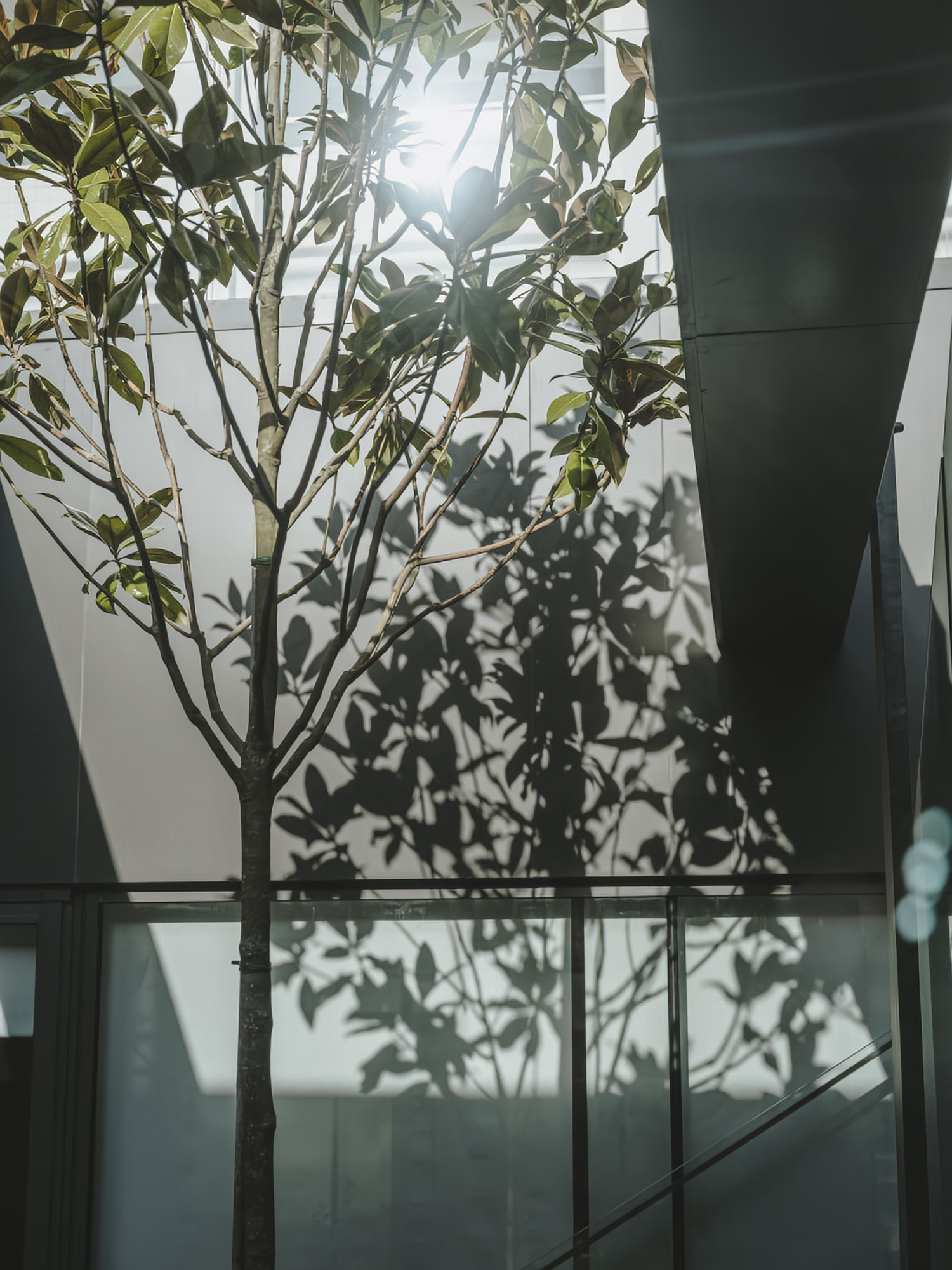 奇基桑坦德酒店二期丨西班牙桑坦德丨Sandra Tarruella Interioristas-10