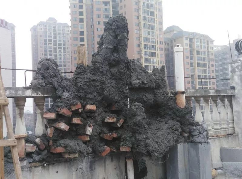 不惑之年，他自己动手建了一座楼顶花园，养花种菜喂鱼……-87