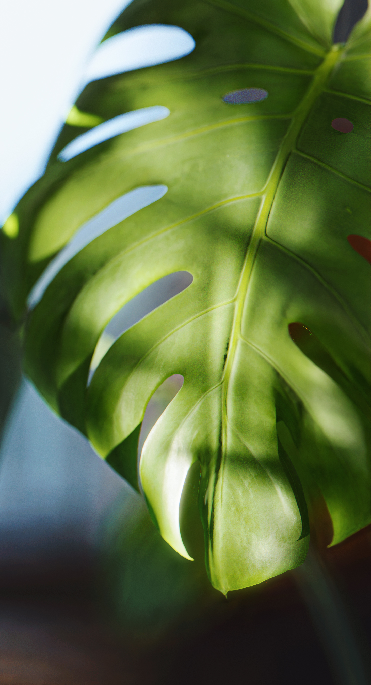 小公寓丨美国-7