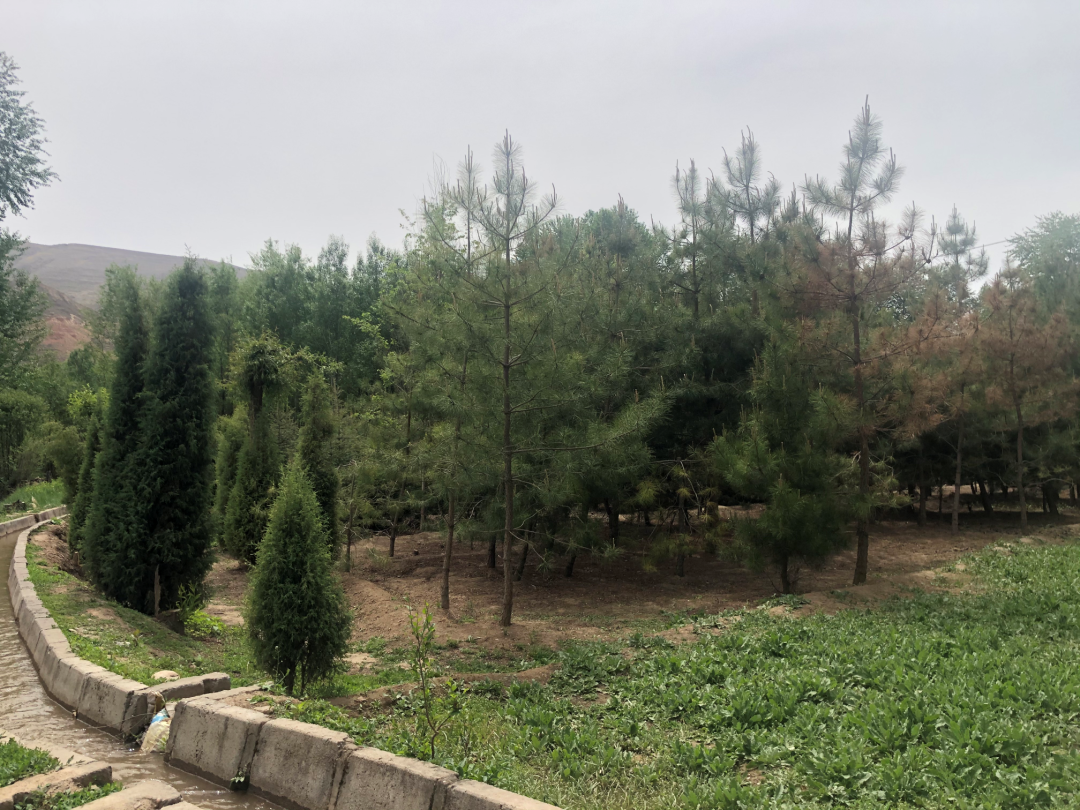 西宁万科城的美好生活场景，城市绿洲为西宁而定制 | 西宁·万科城一期-54