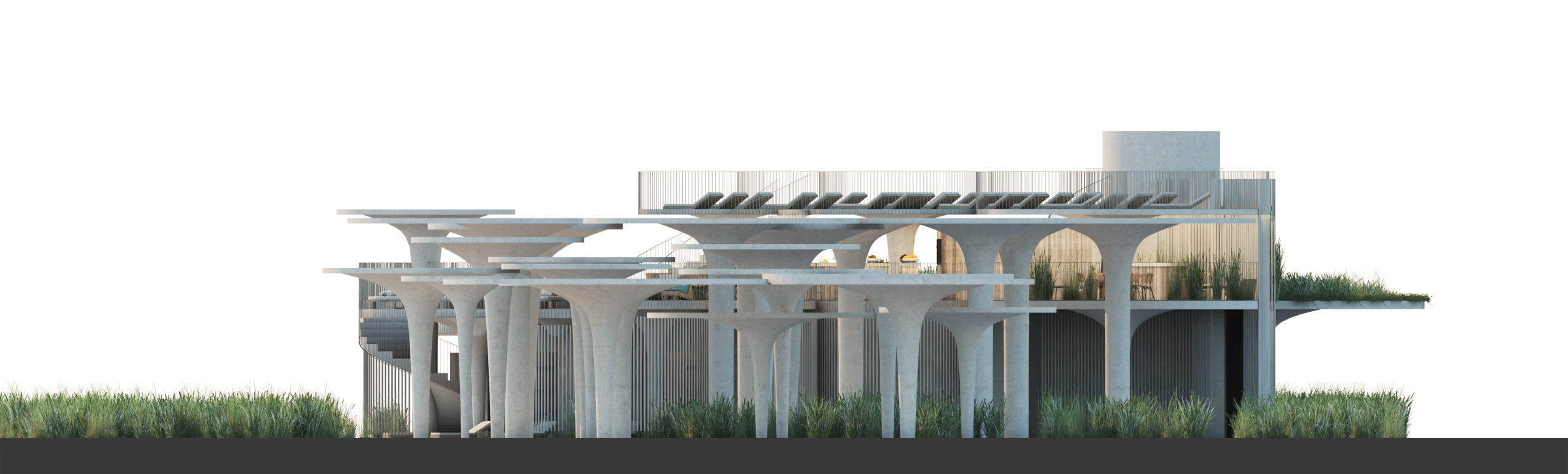 阿斯伯里帕克-22