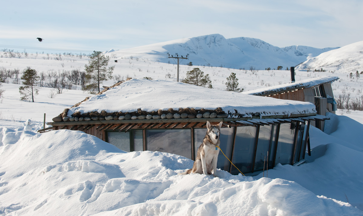 融入自然的北欧风情——Tromsø Wilderness Center-7