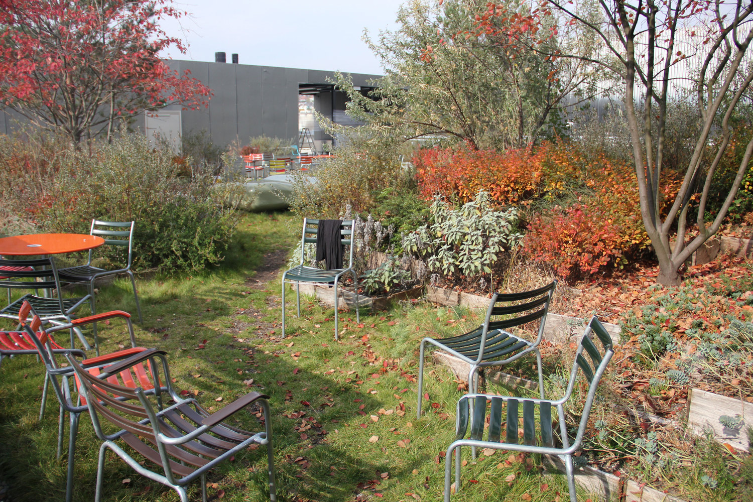 苏黎世艺术大学屋顶花园-30