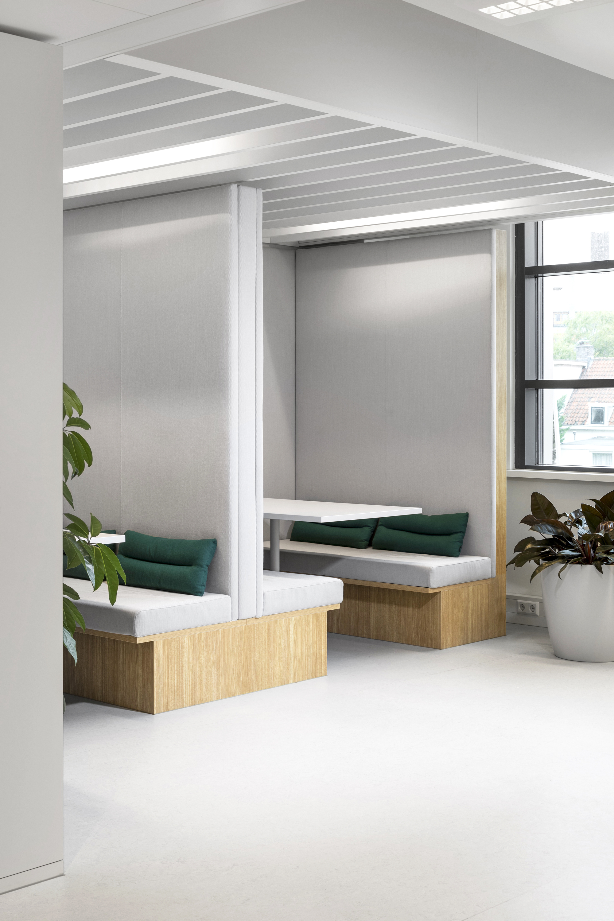 Naturalis Biodiversity Center / Hollandse Nieuwe-39