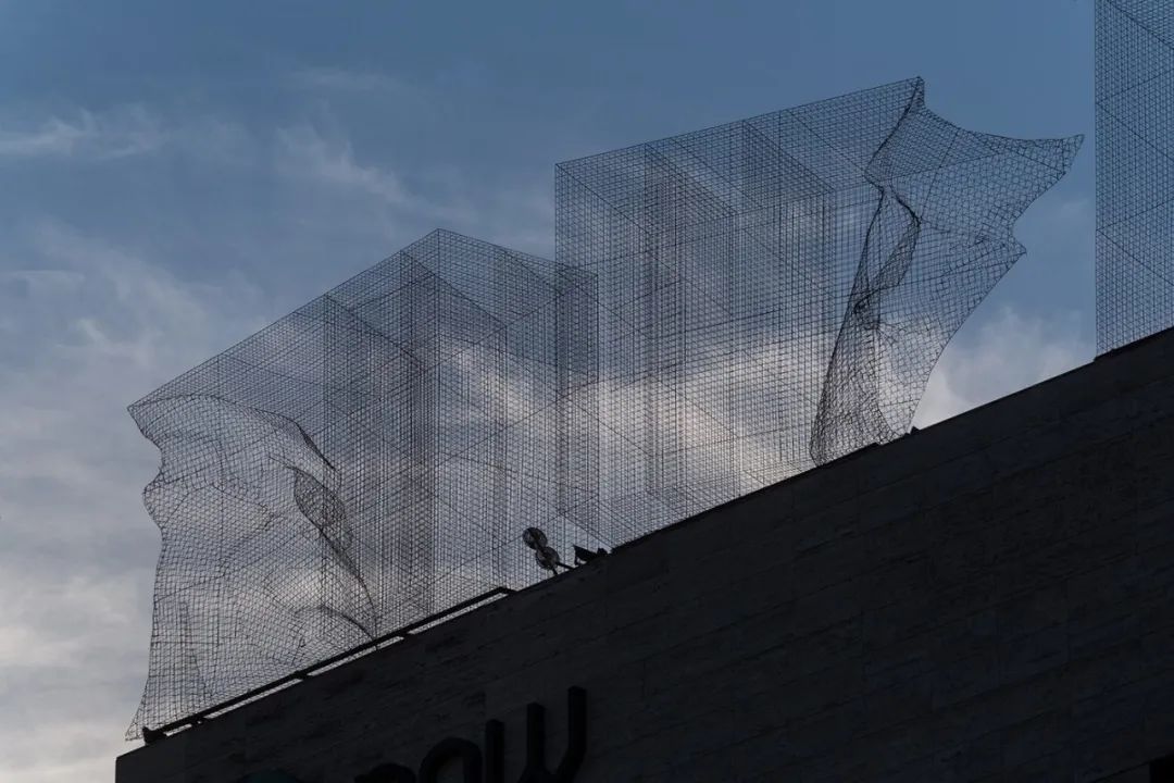 骶骨的;骶部的丨意大利丨Edoardo Tresoldi-127