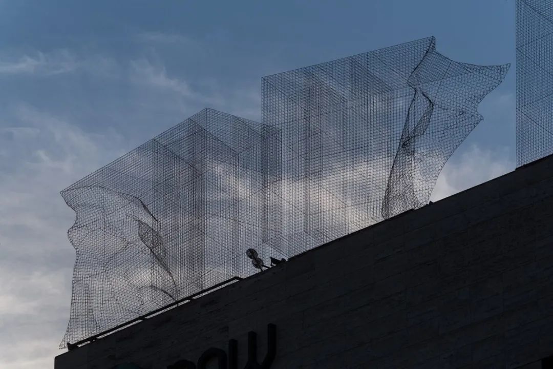 骶骨的；骶部的丨意大利丨Edoardo Tresoldi-127