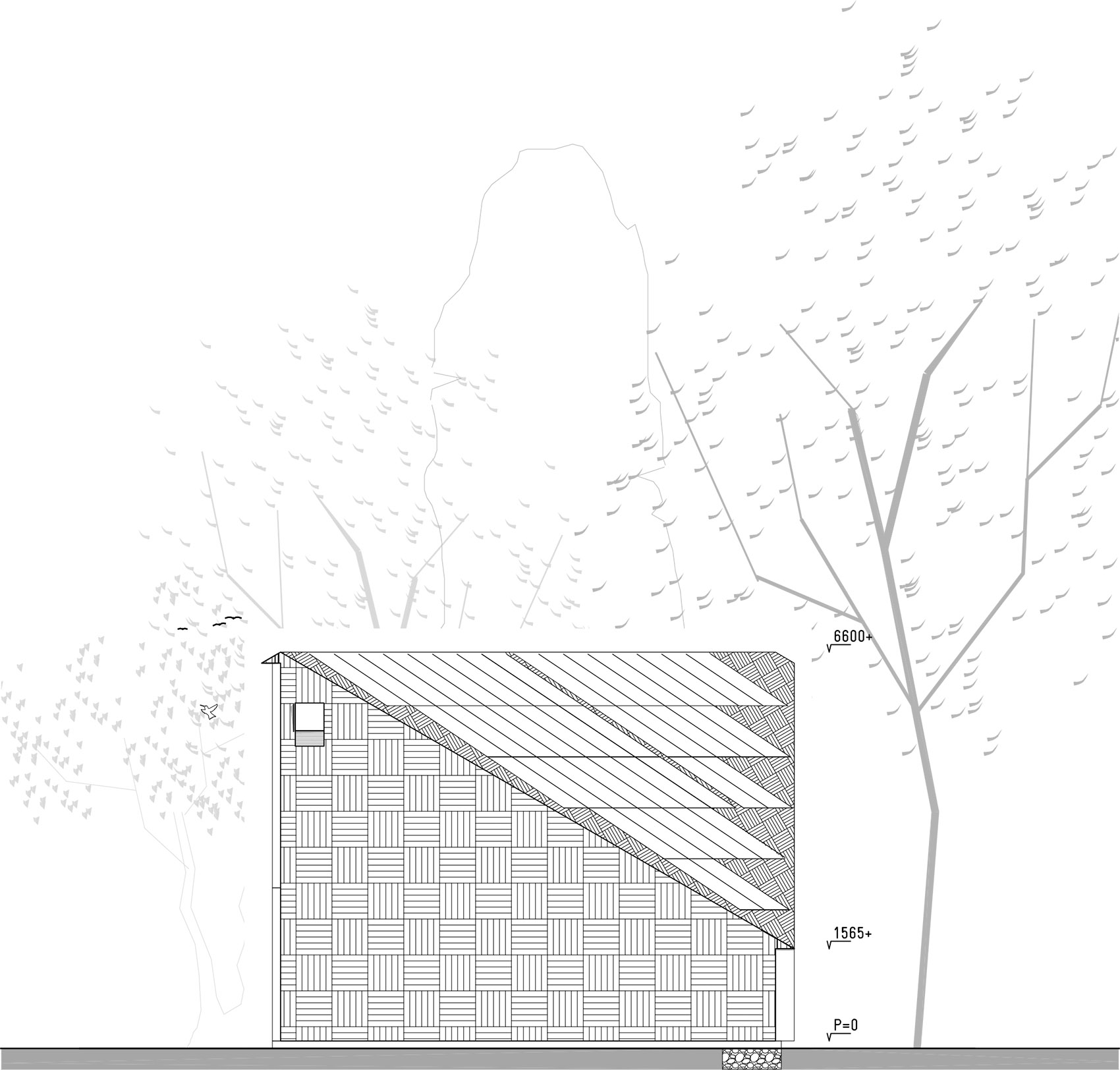 阿姆斯特丹自然与环境教学中心,荷兰 / bureau SLA-65