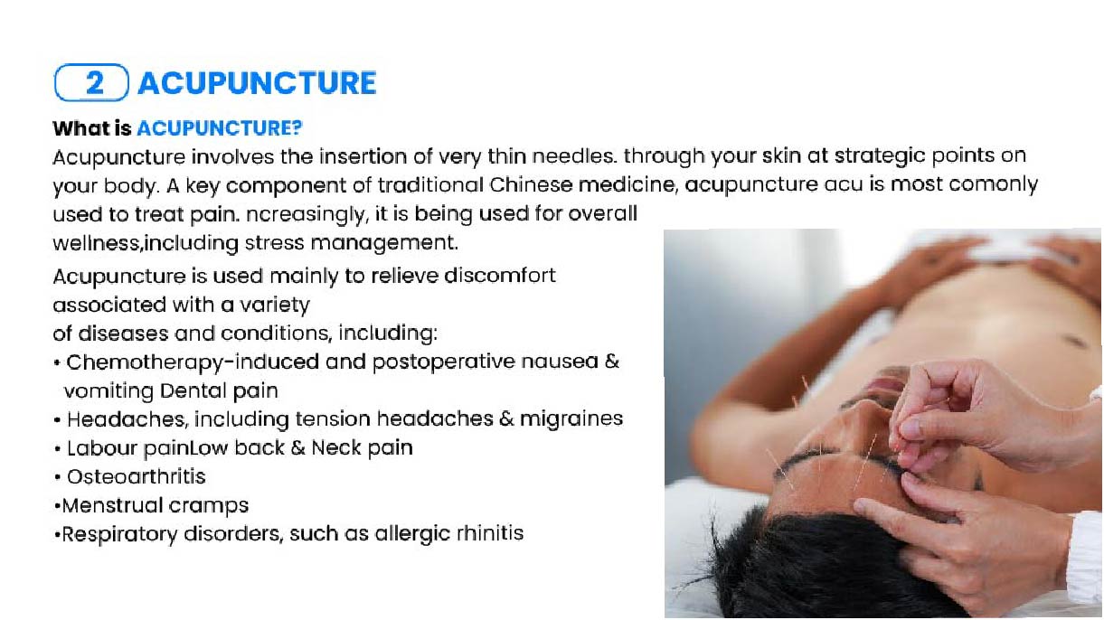Clint 项目丨expart-10
