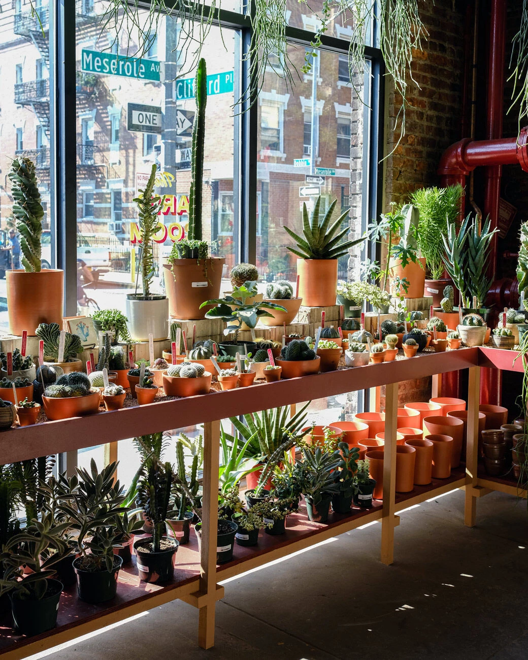 图拉植物与设计丨美国纽约-15