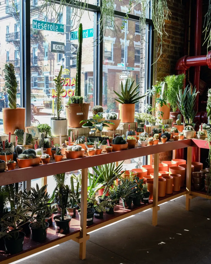 图拉植物与设计丨美国纽约-15