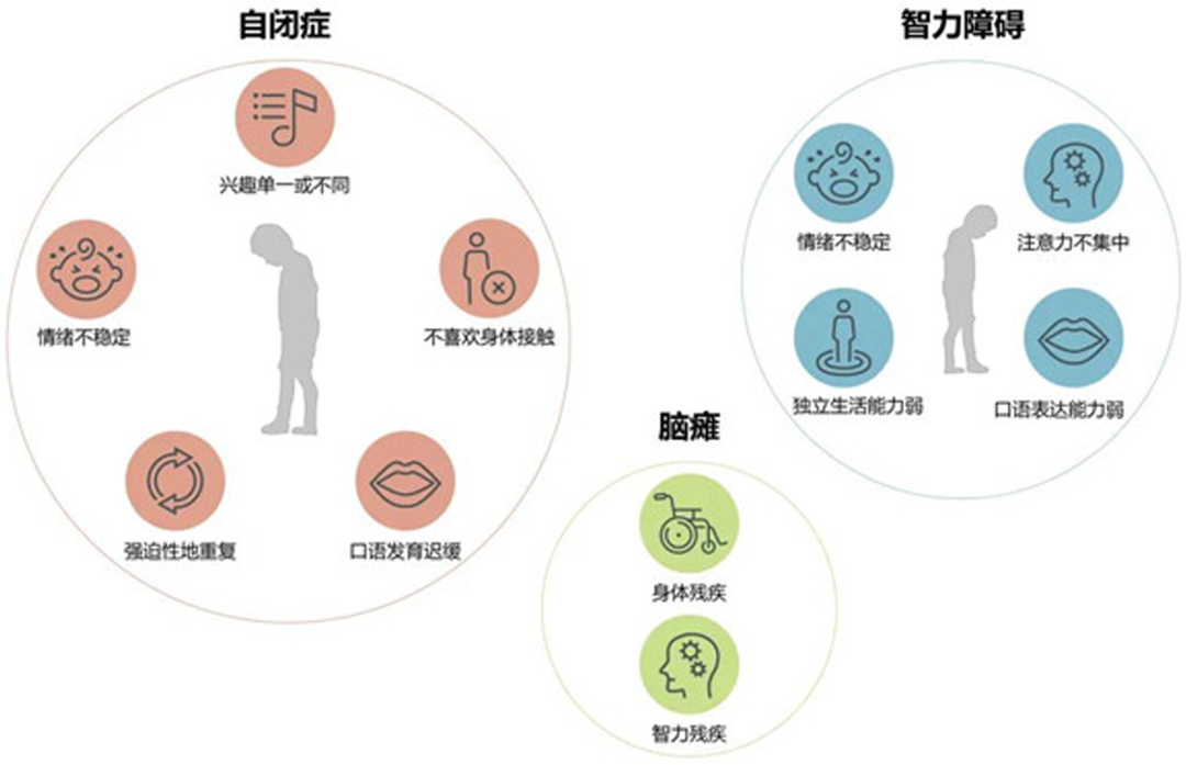 丽水莲都培智学校新建工程设计丨中国丽水丨上海思序建筑规划设计有限公司-24