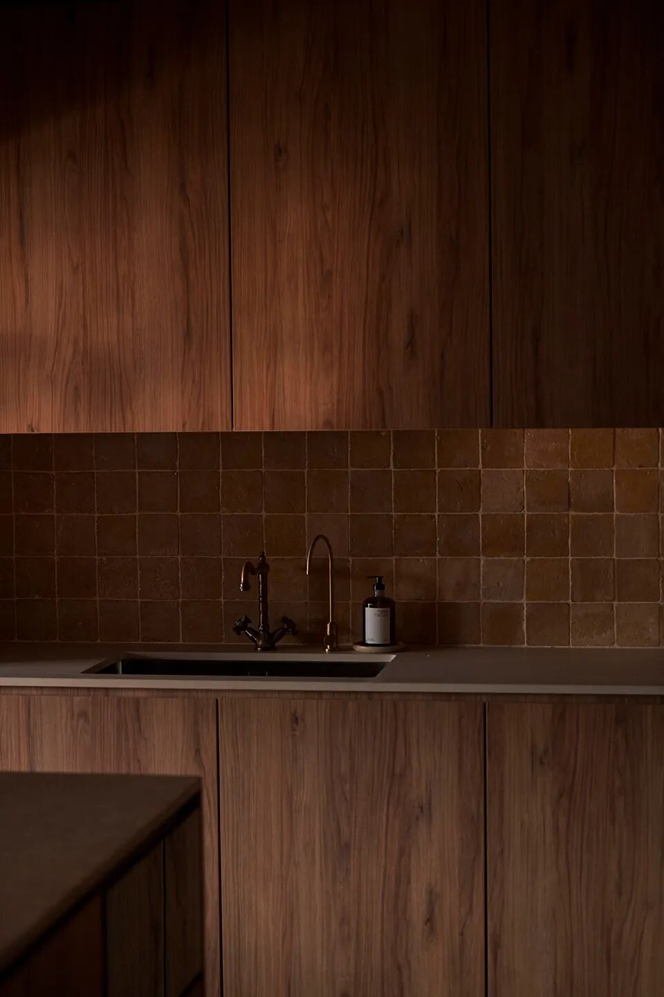 充满生命力的“公园里的家”-18