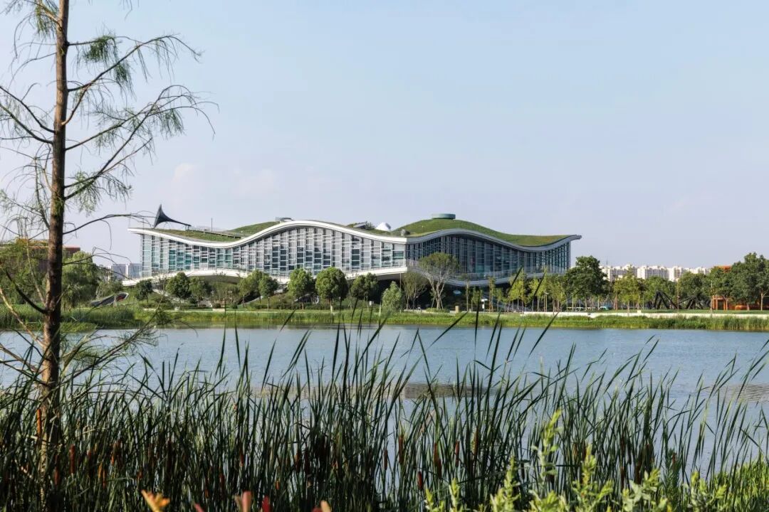 想象的边界：在水一方时空建构与科幻论坛成功举办-26