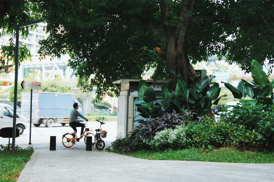 深圳市龙珠大道公交站旁口袋公园丨中国深圳丨未名设计团队-10