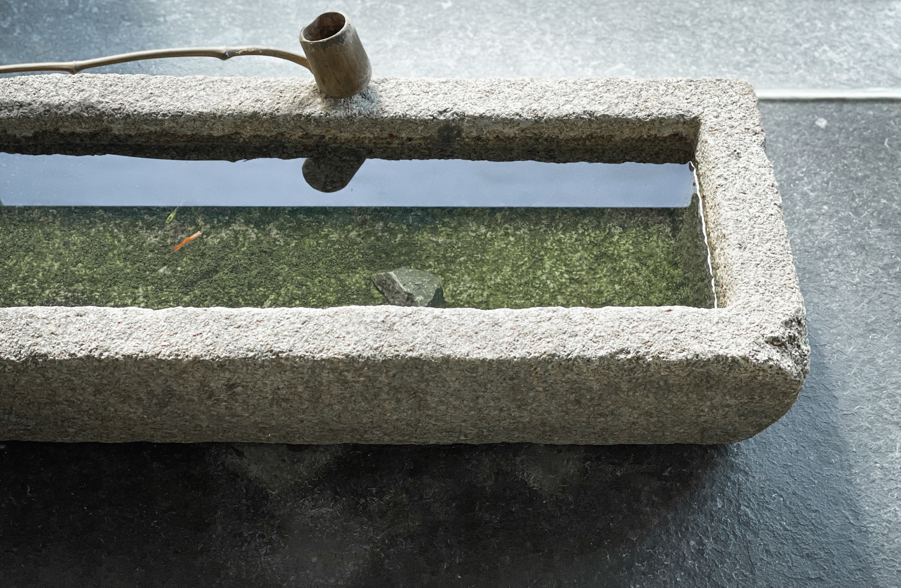 有时茶想丨中国广州丨广州市美林文化传播有限公司-23