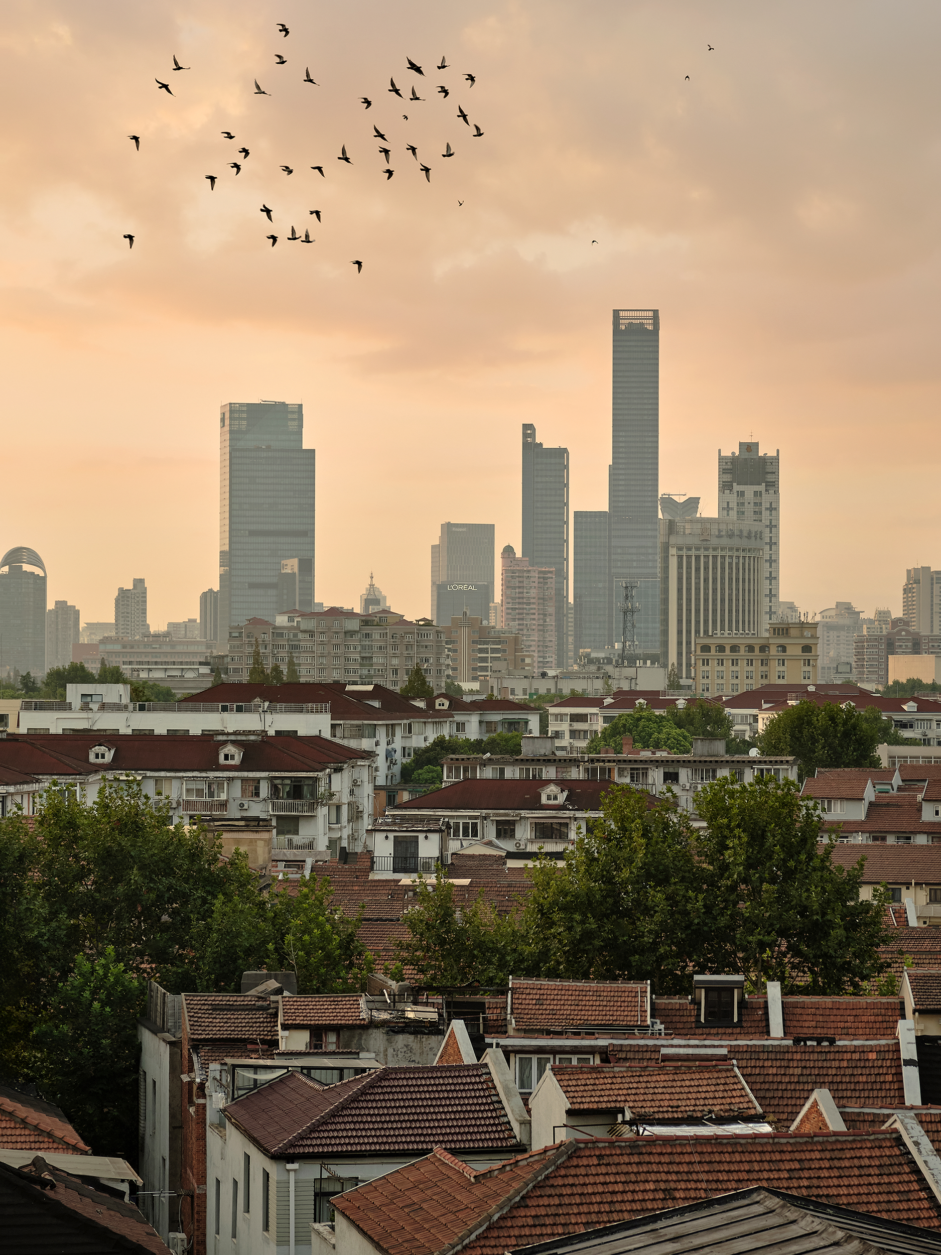 藏家公馆601丨中国上海丨JC.D嘉宸设计-32