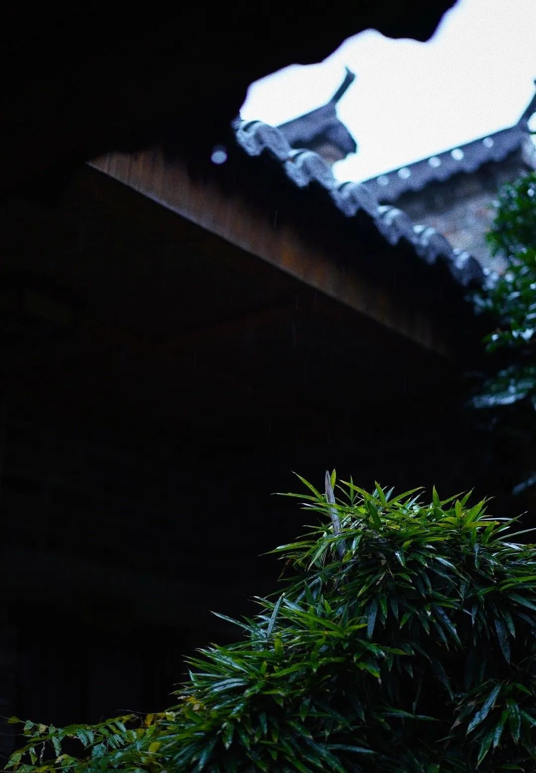 隐世清闲 · 文人空间设计探秘丨君语+-14