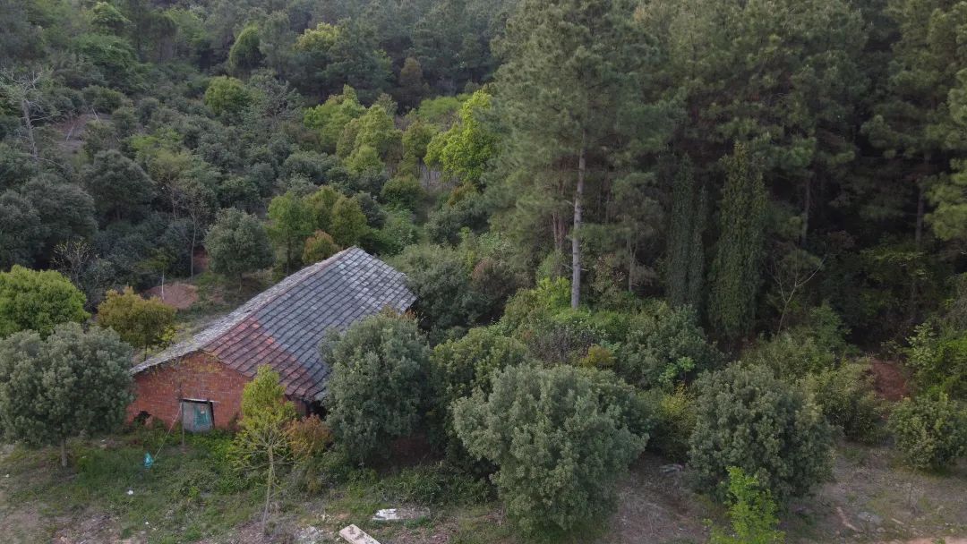 山谷松林里的隐世秘境之旅｜PrivateJourneyinthePineryValley-38