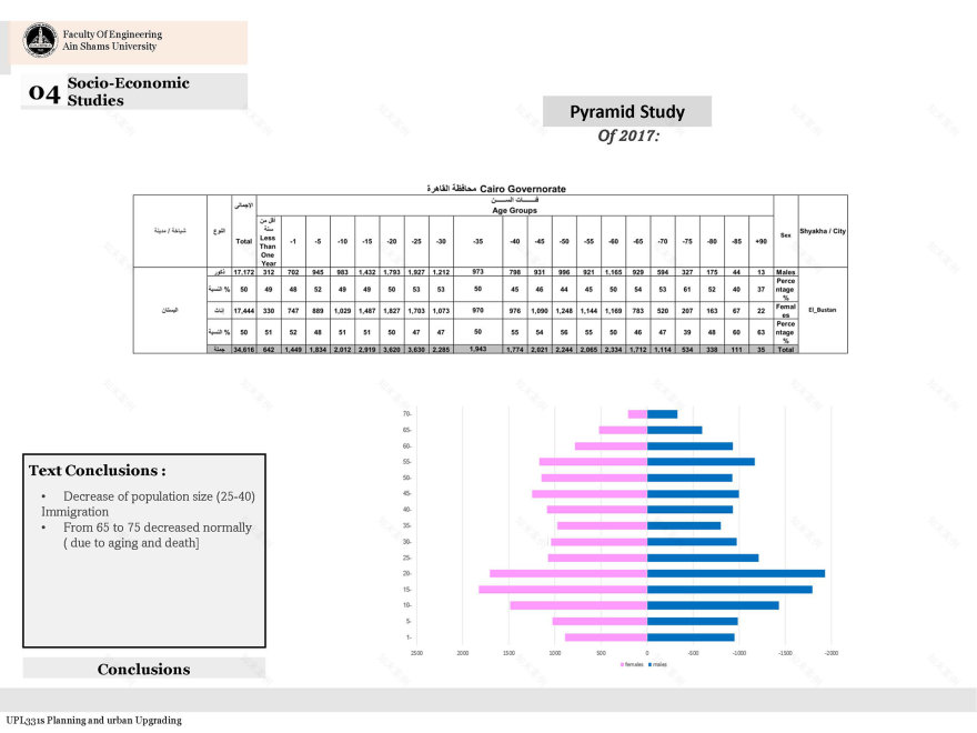 充满活力的社区丨Ain Shams University 工程学院城市设计与城市规划系-39