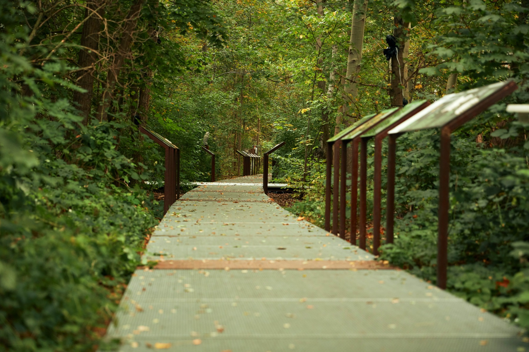 柏林南场地自然公园丨德国柏林-12