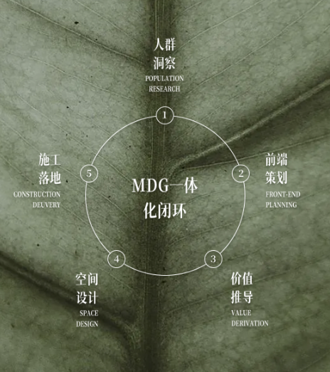 MDG首发 | 春光映画-4