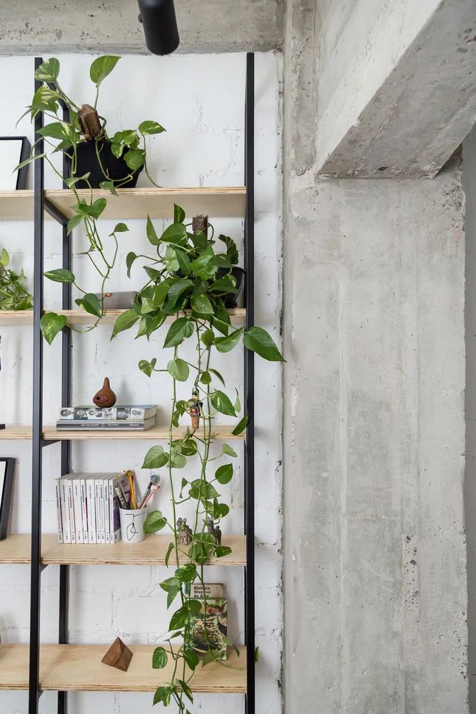 巴西利多酒店公寓 | 30 平米多功能空间设计-39