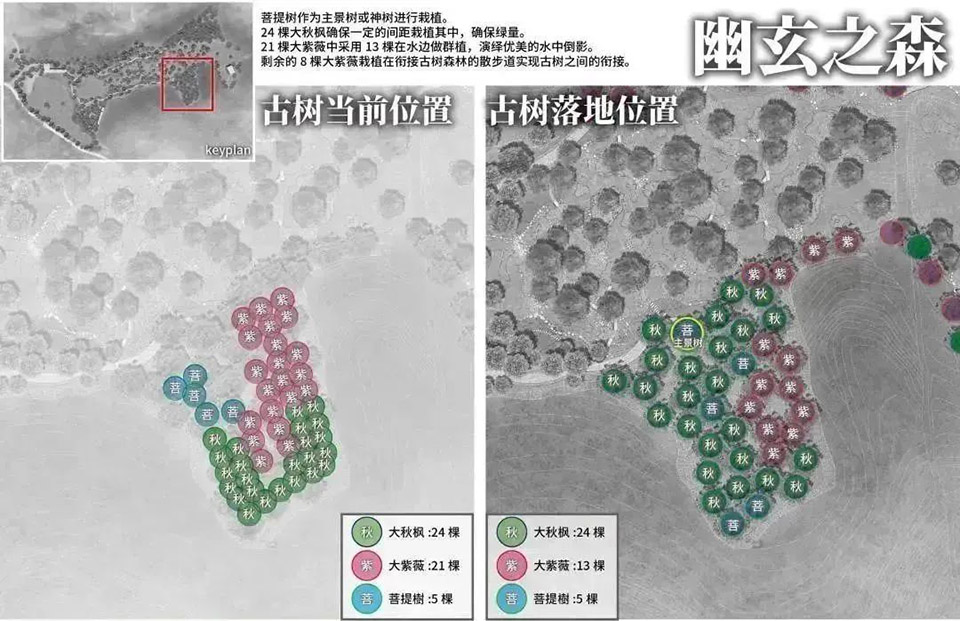 凯森千年古树园·幽玄之森丨中国惠州丨株式会社户田芳树风景计画-19