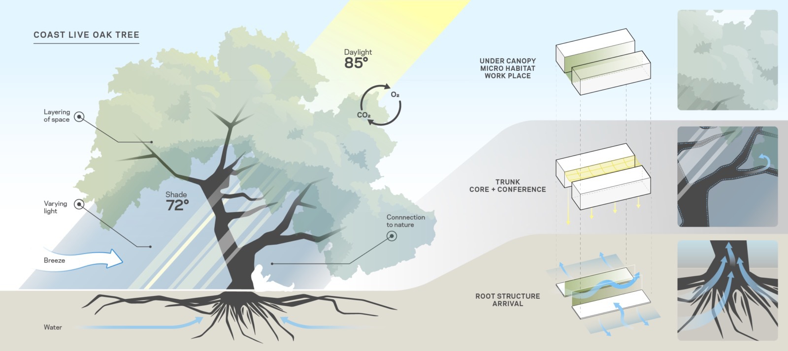 斯坦福大学医学院学术医学中心丨美国加利福尼亚丨HOK-25