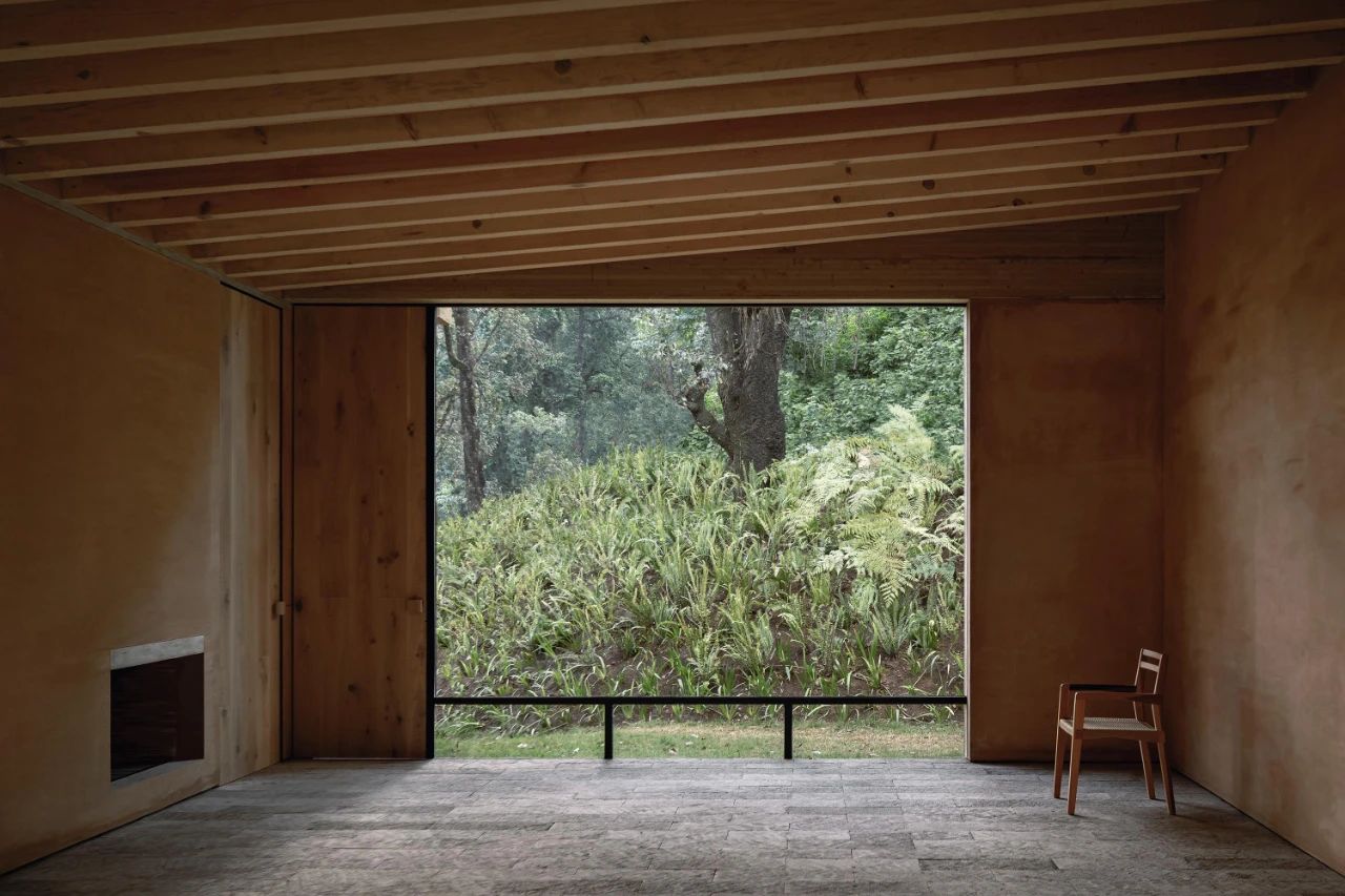 蕨类植物丨墨西哥丨Taller Hector Barroso-19