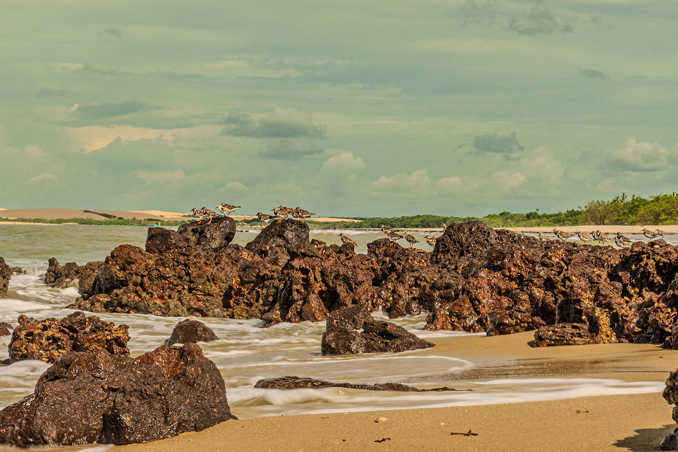 Casa Daia度假屋丨巴西塞阿拉丨UNA barbara e valentim-77