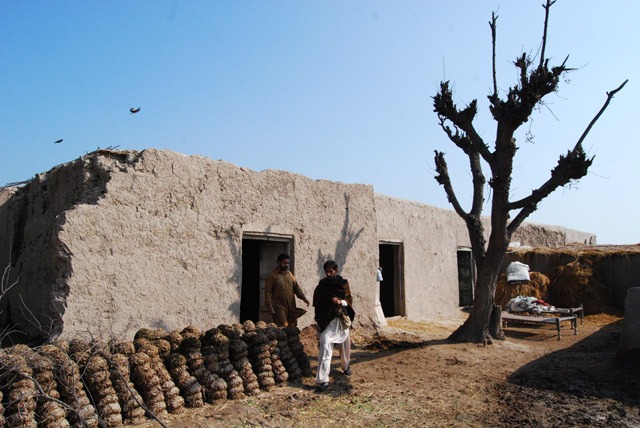 Tipu Sultan Merkez学校丨巴基斯坦-5