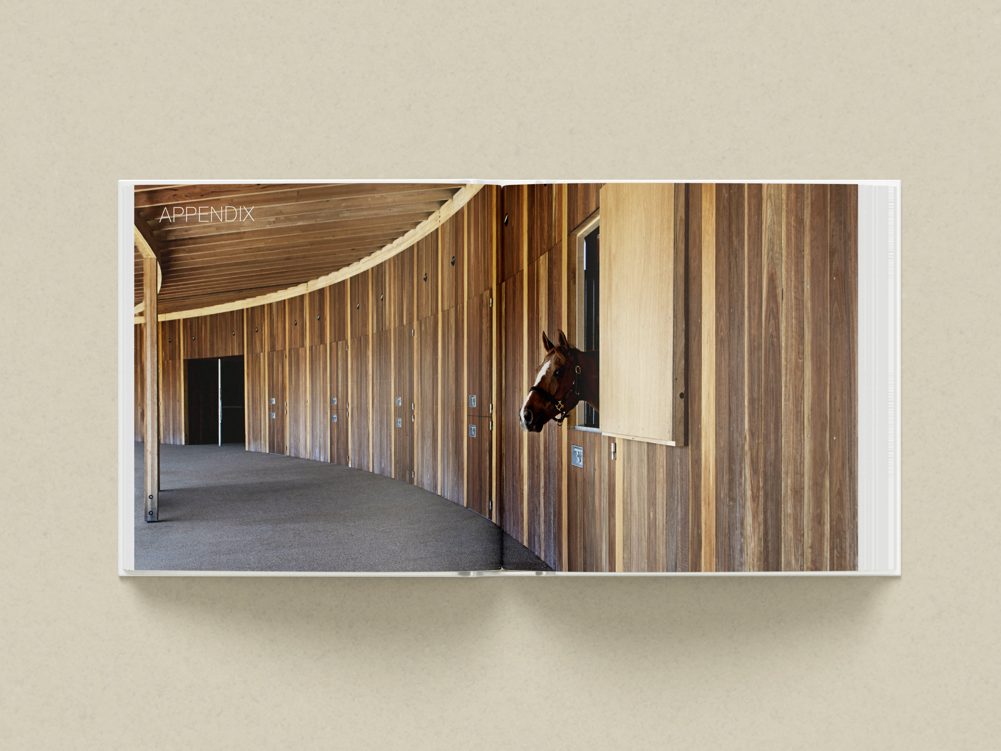 马厩·里佐利编辑设计丨Rizzoli International Publishing-14