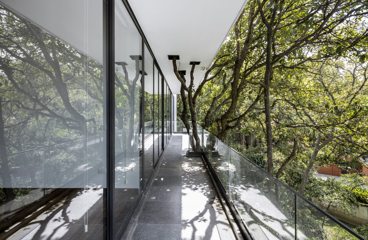 墨西哥森林中的自然之家-20