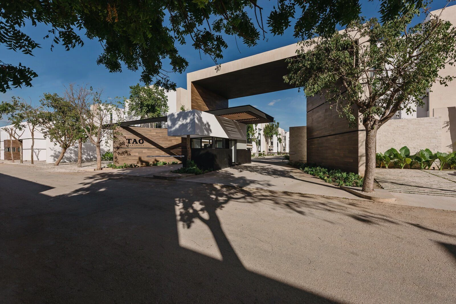 TAO 公寓丨墨西哥丨Arkham Projects-28