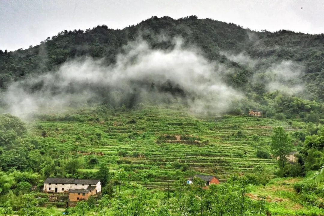 民宿设计，不论是重建或扩建、运用设计的加法或减法、还是采用在地材料，不仅能使荒废破旧的乡下老宅焕然一新，也能重塑一方水土。-81