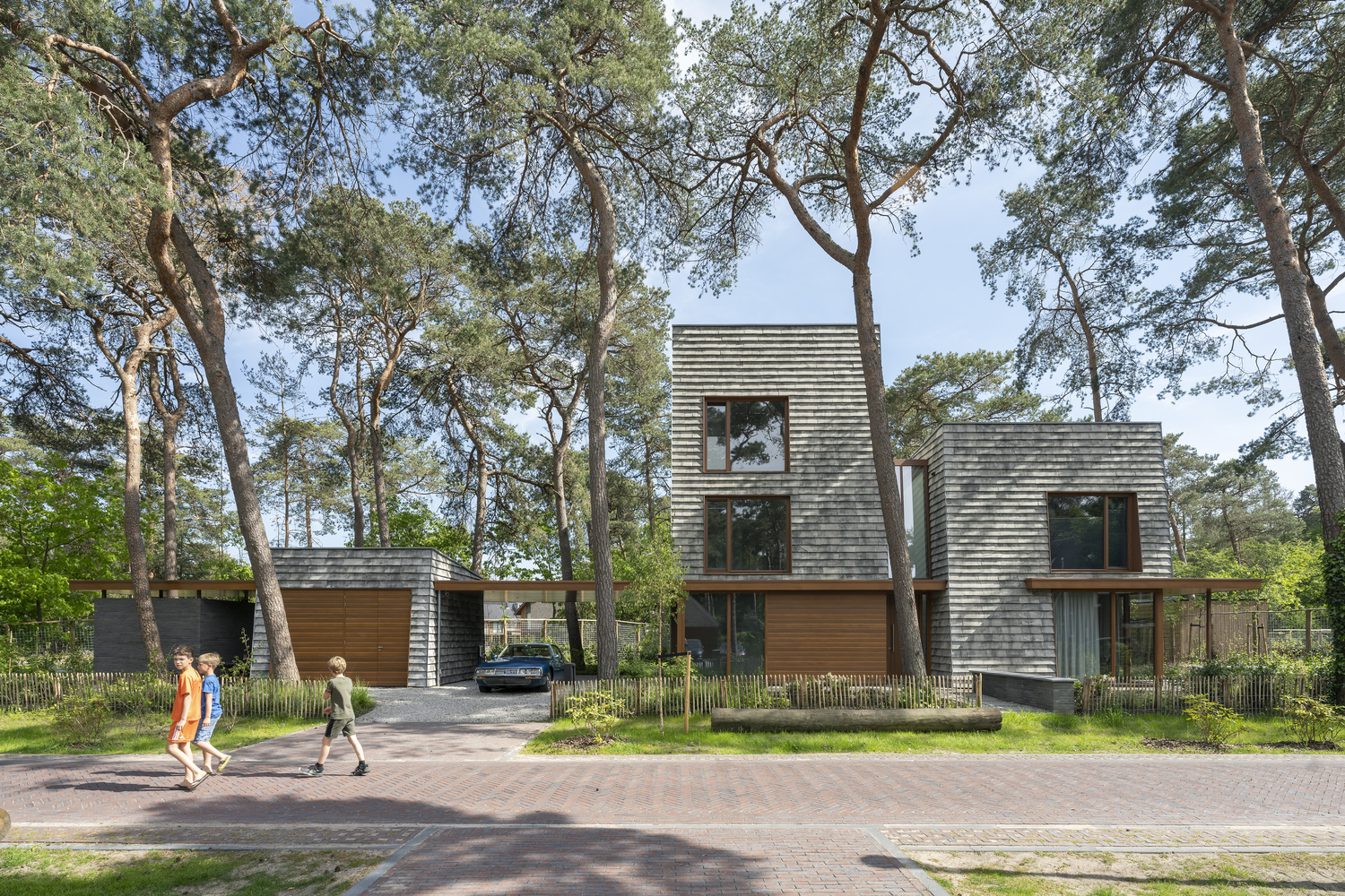 荷兰森林中的现代住宅-12